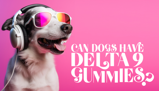 can dogs have delta 9 gummies