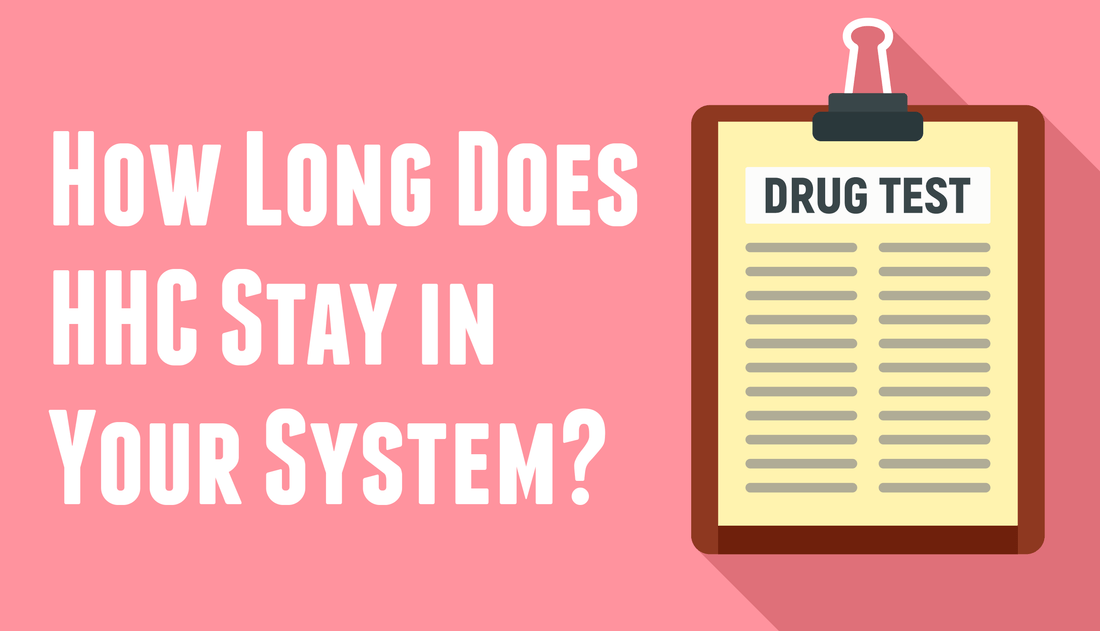 How long does HHC stay in your system?