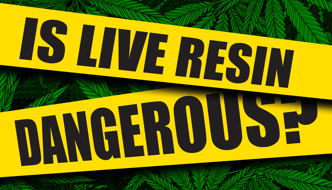 This blog post will tell everything about the safety of live resin and answer the question, is live resin dangerous? 