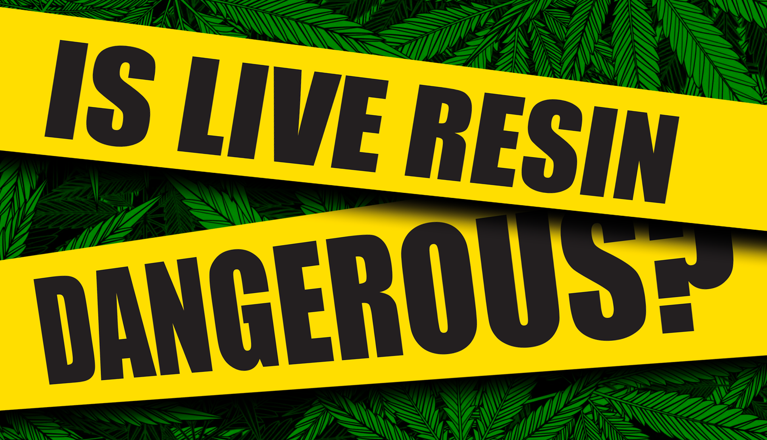 Is Live Resin Dangerous? Injoy Extracts