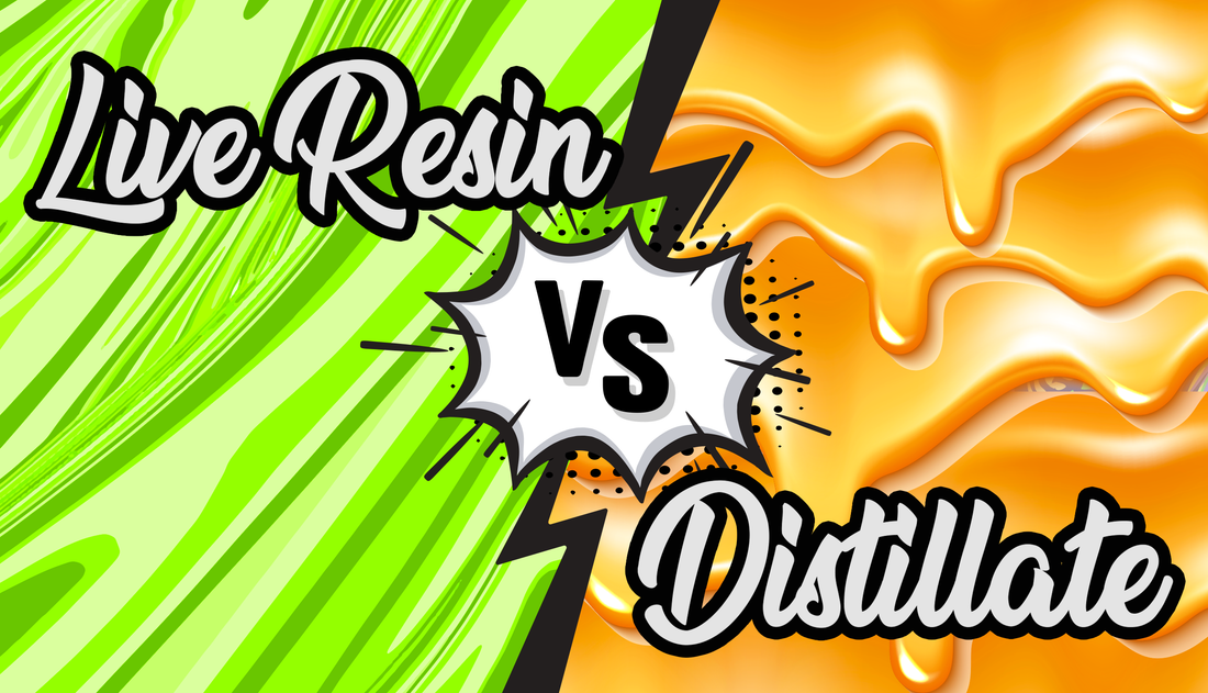 Live Resin vs. Distillate