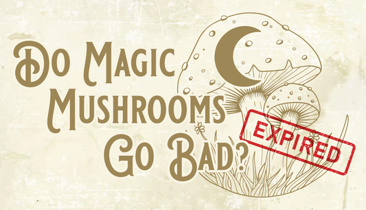 Do Magic Mushrooms Go Bad?