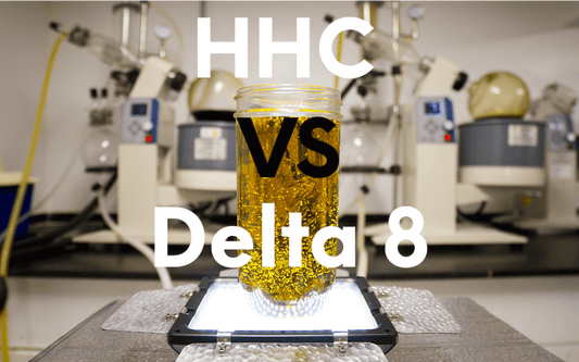 a photo for a blog article about HHC THC vs Delta 8