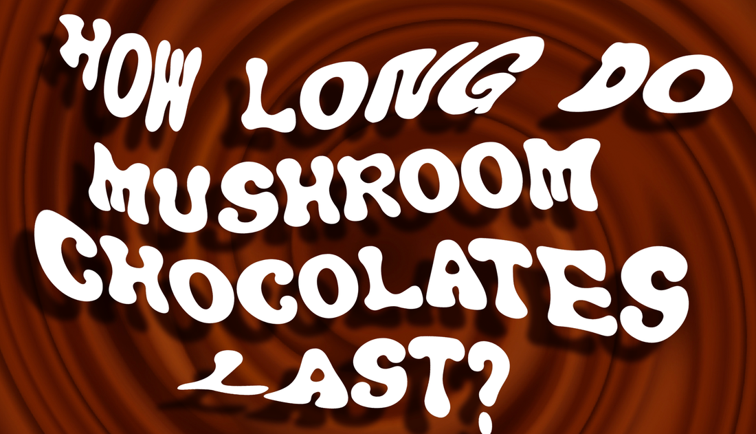 How Long Do Mushroom Chocolates Last?