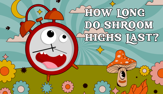 How Long Do Shroom Highs Last?