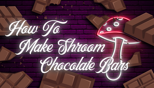 how to make shroom chocolate bars