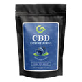 Good CBD 100mg CBD Gummy Rings blue raspberry flavor 48 count black pouch with blue label and blueberry graphic.