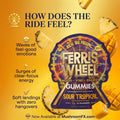 Ferris Wheel Kanna Gummies - 6 Flavors - 10 Count